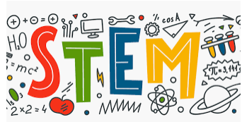 stem